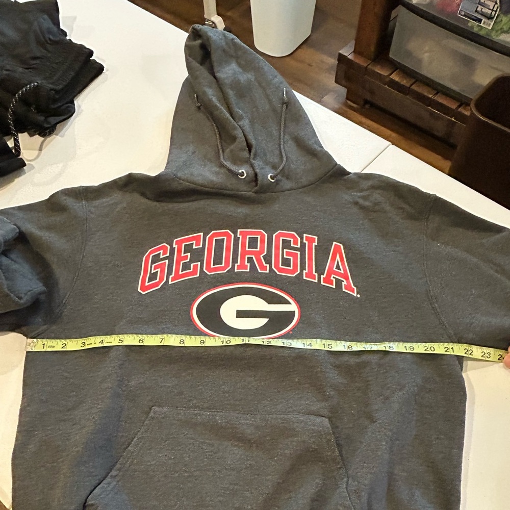 Champion Gray Georgia Hoodie